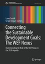 Connecting the Sustainable Development Goals: The WEF Nexus - Understanding the Role of the WEF Nexus in the 2030 Agenda