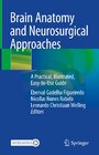 Brain Anatomy and Neurosurgical Approaches - A Practical, Illustrated, Easy-to-Use Guide