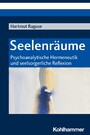 Seelenräume - Psychoanalytische Hermeneutik und seelsorgerliche Reflexion