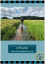 Camperspass in Estland - Übernachtungsspots, Sehenswürdigkeiten und Tipps für einen gelungenen Campingurlaub in Estland