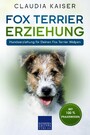 Fox Terrier Erziehung - Hundeerziehung für Deinen Fox Terrier Welpen