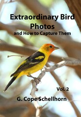 Extraordinary Bird Photos and How to Capture Them Vol. 2