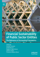 Financial Sustainability of Public Sector Entities - The Relevance of Accounting Frameworks