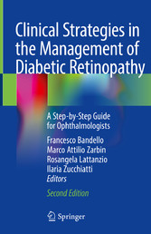 Clinical Strategies in the Management of Diabetic Retinopathy - A Step-by-Step Guide for Ophthalmologists