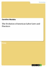 The Evolution of American Labor Laws and Practices